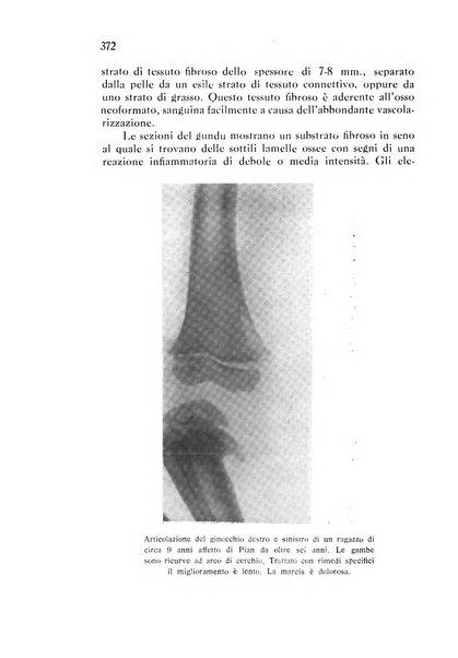 Annali di patologia tropicale e di parassitologia