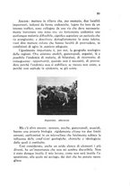 giornale/CFI0431612/1941/unico/00000109