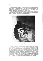 giornale/CFI0431612/1941/unico/00000238