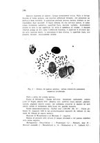 giornale/CFI0431612/1941/unico/00000270