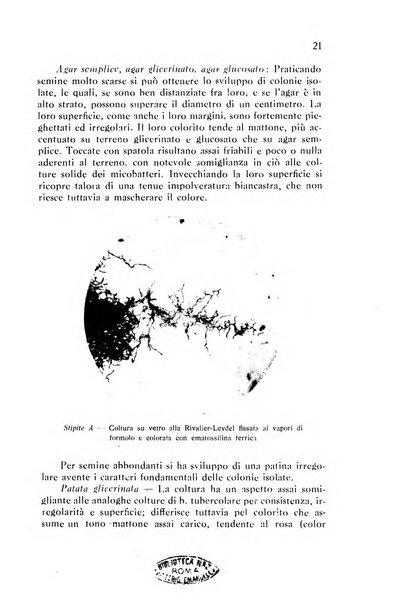 Annali di patologia tropicale e di parassitologia