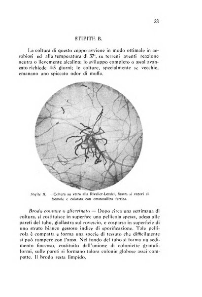 Annali di patologia tropicale e di parassitologia