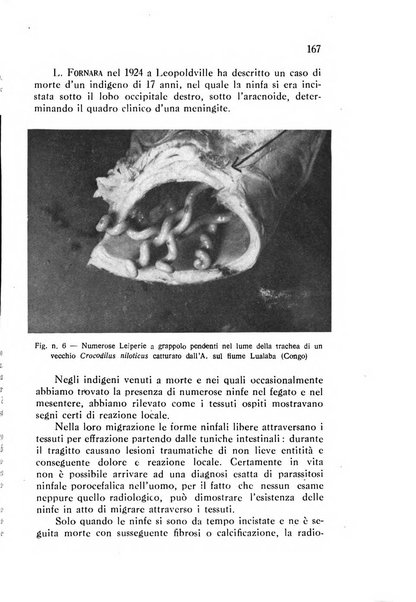 Annali di patologia tropicale e di parassitologia