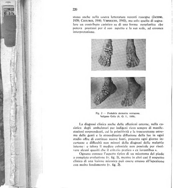 Annali di patologia tropicale e di parassitologia