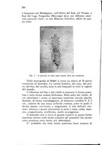 giornale/CFI0431612/1942/unico/00000330