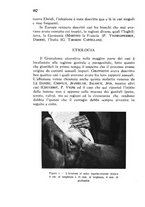 giornale/CFI0431612/1942/unico/00000506