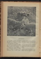 giornale/CFI0432820/1949/Febbraio/46