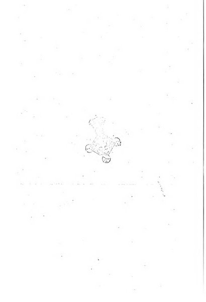 Giornale di mineralogia, cristallografia e petrografia