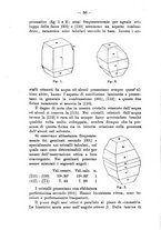 giornale/CFI0434328/1892/unico/00000062