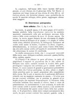 giornale/CFI0434328/1893/unico/00000120