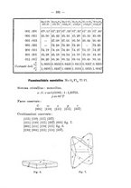 giornale/CFI0434328/1894/unico/00000193