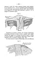 giornale/CFI0434328/1894/unico/00000323