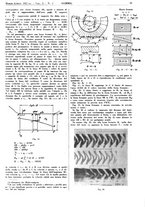 giornale/CFI0434470/1937/unico/00000074