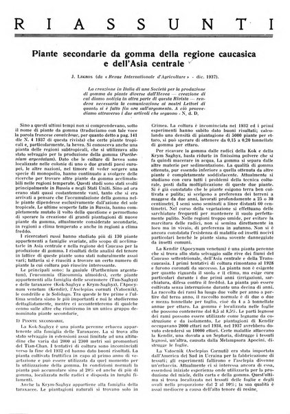 Gomma rivista bimestrale