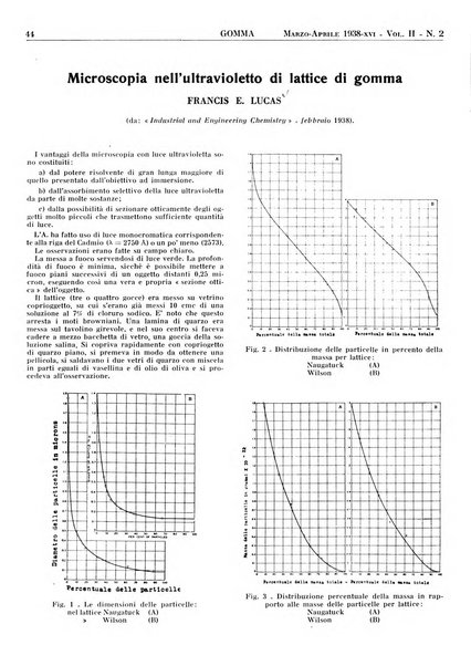 Gomma rivista bimestrale