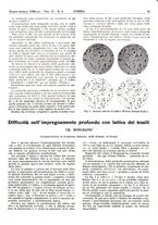 giornale/CFI0434470/1938/unico/00000073