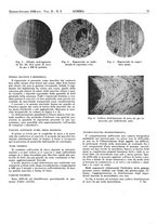 giornale/CFI0434470/1938/unico/00000115