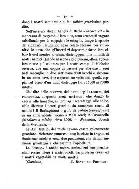 Il coltivatore netino bollettino mensile del comizio agrario di Noto