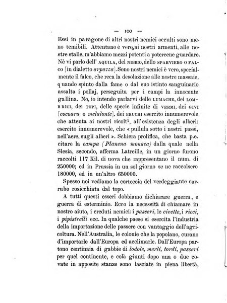 Il coltivatore netino bollettino mensile del comizio agrario di Noto