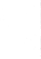 giornale/CFI0435863/1894/unico/00000020