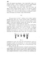 giornale/CFI0436081/1886/unico/00000388