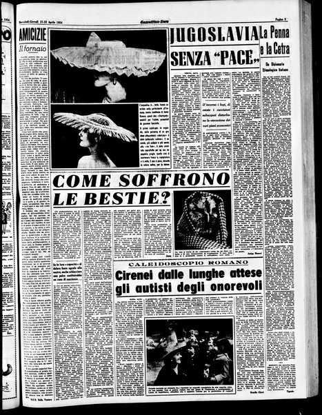 Gazzettino sera