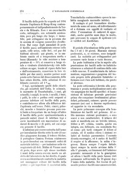 L'esplorazione commerciale giornale di viaggi e di geografia commerciale