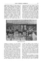 giornale/CFI0438568/1913/unico/00000023