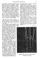 giornale/CFI0438568/1925-1926/unico/00000067