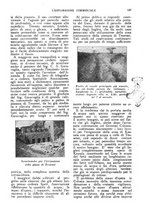 giornale/CFI0438568/1925-1926/unico/00000169