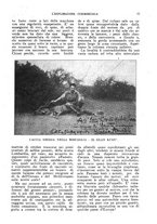 giornale/CFI0438568/1927/unico/00000019
