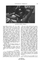 giornale/CFI0438568/1927/unico/00000061
