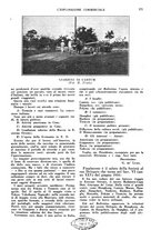 giornale/CFI0438568/1927/unico/00000191