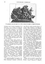 giornale/CFI0438568/1928/unico/00000028