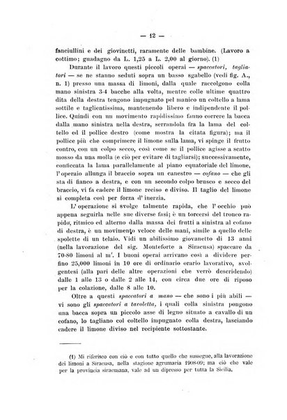 Il Ramazzini giornale italiano di medicina sociale