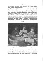giornale/CFI0440518/1909/unico/00000030