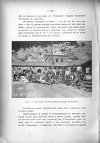 giornale/CFI0440518/1909/unico/00000258