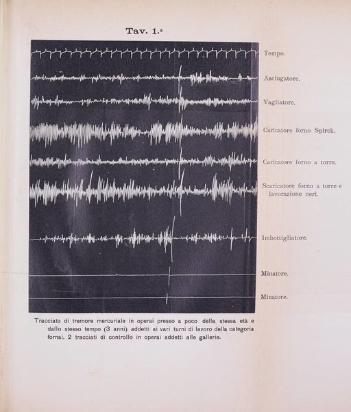 Il Ramazzini giornale italiano di medicina sociale