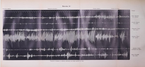 Il Ramazzini giornale italiano di medicina sociale