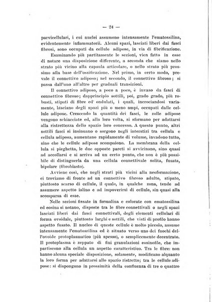 Il Ramazzini giornale italiano di medicina sociale