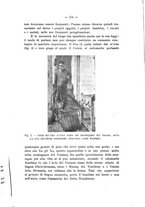 giornale/CFI0440518/1911/unico/00000277