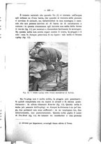 giornale/CFI0440518/1911/unico/00000289