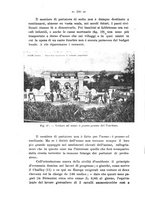 giornale/CFI0440518/1911/unico/00000306