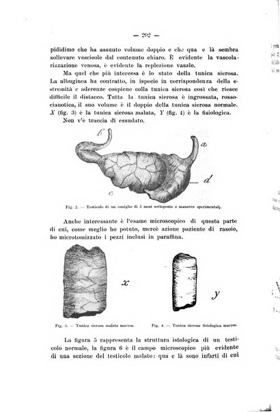 Il Ramazzini giornale italiano di medicina sociale