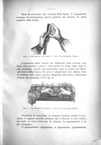 giornale/CFI0440518/1912/unico/00000013