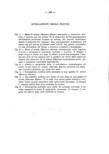 Il Ramazzini giornale italiano di medicina sociale