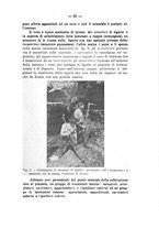 giornale/CFI0440518/1915/unico/00000039