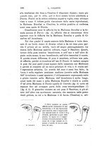 giornale/CFI0440535/1905/unico/00000126