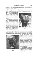 giornale/CFI0440535/1919-1920/unico/00000259