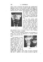 giornale/CFI0440535/1919-1920/unico/00000260